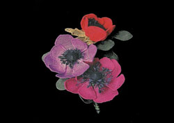anemones