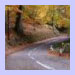 exmoor in autumn