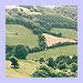 local views